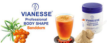VIANESSE Professional body shape 